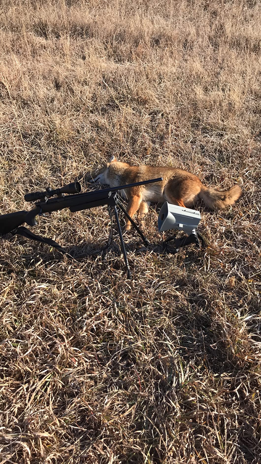 FOXPRO X24 American Made Electronic Predator Call Remote Operated and Programmable Coyote, Fox, Crow, Hog Call for Hunting customer photo 1
