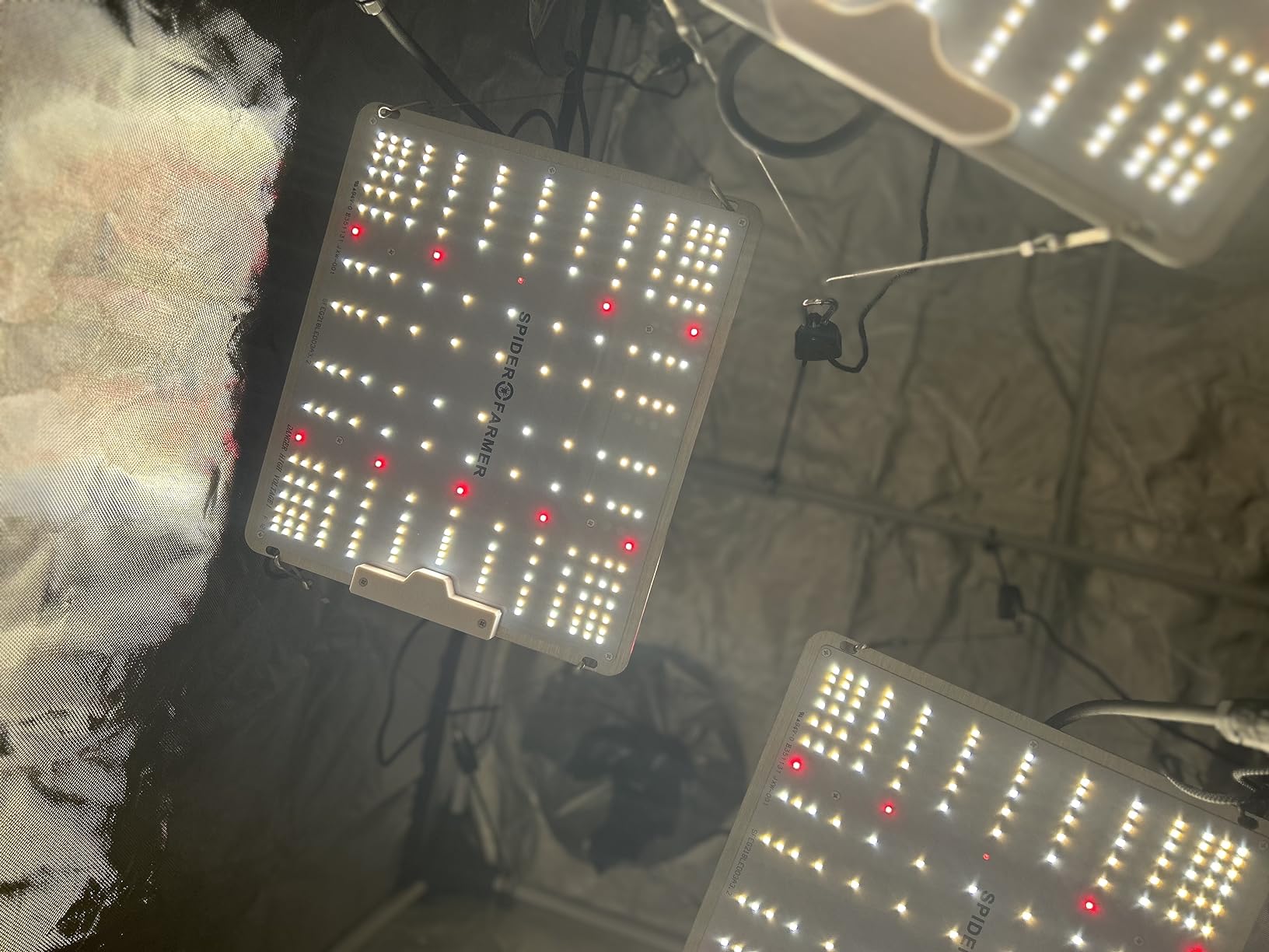 Spider Farmer SF1000 100W LED Grow Light for Indoor Plants, Upgraded High Efficiency LEDs, Dimmable Full Spectrum High PPFD, Deep Penetration for Seed Starting/Vegetables/Bloom in 2x2/3x3 Grow Tent customer photo 2