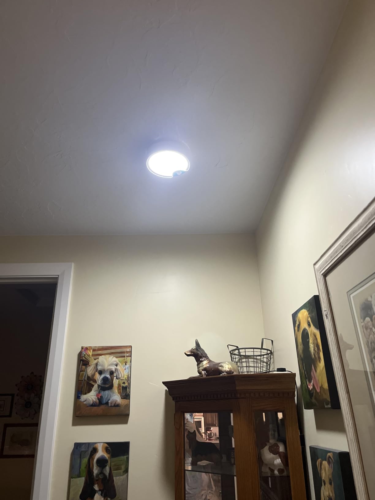 TOOWELL Motion Sensor Ceiling Light Battery Operated Indoor/Outdoor LED Ceiling Lights for Closet Hallway Pantry Laundry Stairs Garage Bathroom Shower Porch Shed Wall 400LM Motion Activated Light customer photo 1