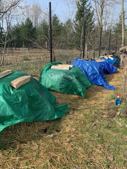 REOTEMP Backyard Pro Compost Thermometer, with PDF Composting Guide (0-200 Fahrenheit) (24 Inch Stem) customer photo 2