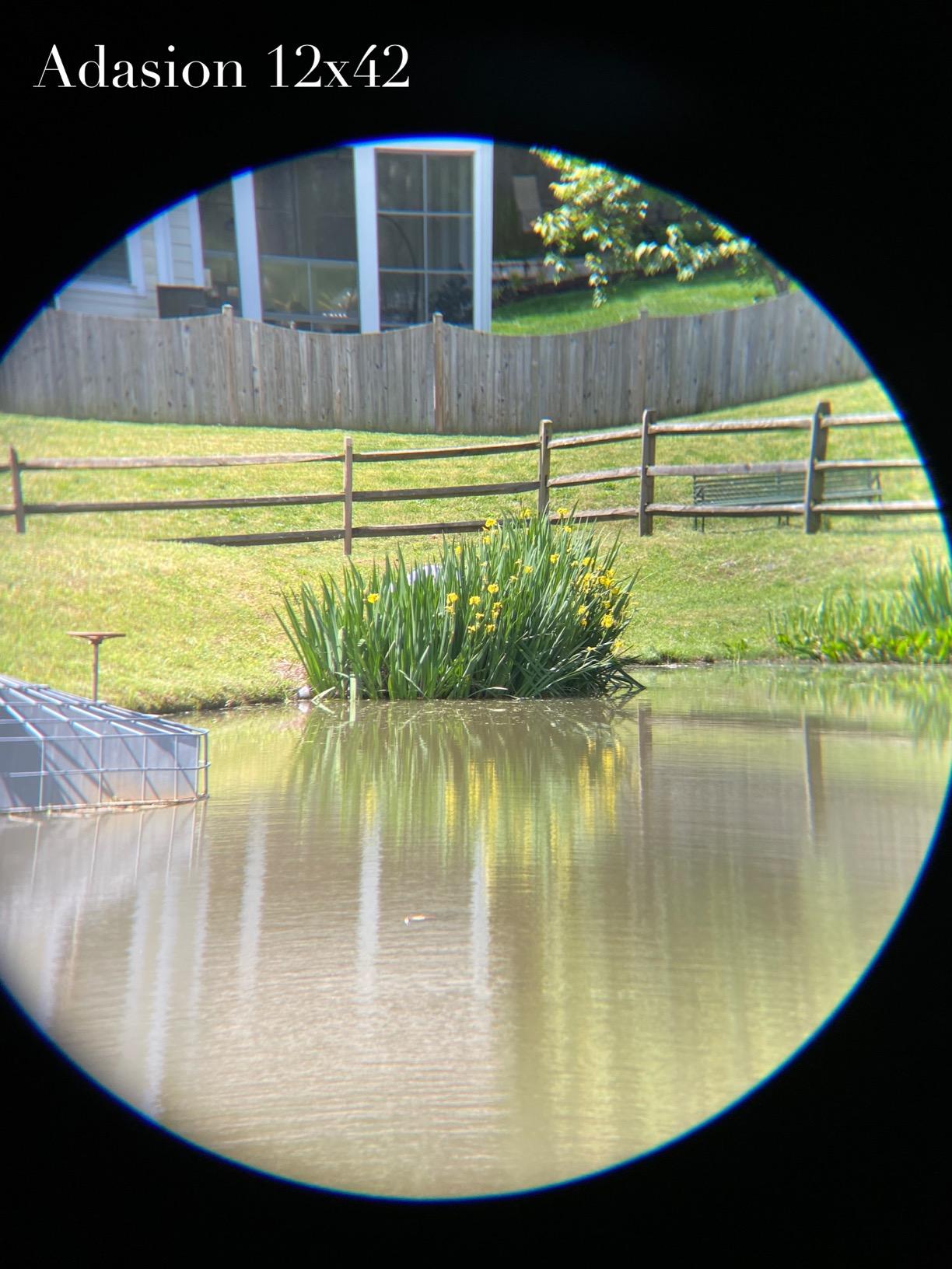 12x42 HD Binoculars for Adults High Powered with Phone Adapter and Tripod, Super Bright BAK4 Prism Waterproof Binoculars for Bird Watching Hunting Hiking Safari Travel Sports customer photo 1