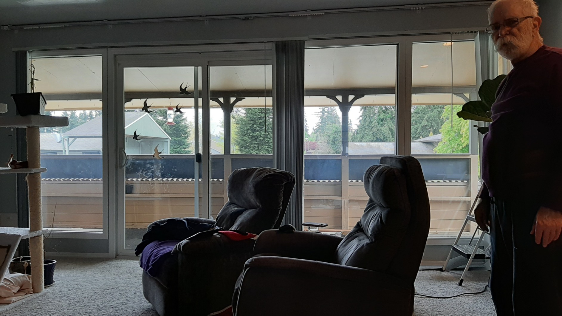 Quoya QL500 Smart Curtains System, Electric Curtain Track with Automated Rail【Motorized and Adjustable Tracks/Rod/Pole (up to 3.2 metres / 125 inches)【Motor compatible with Alexa】 customer photo 2