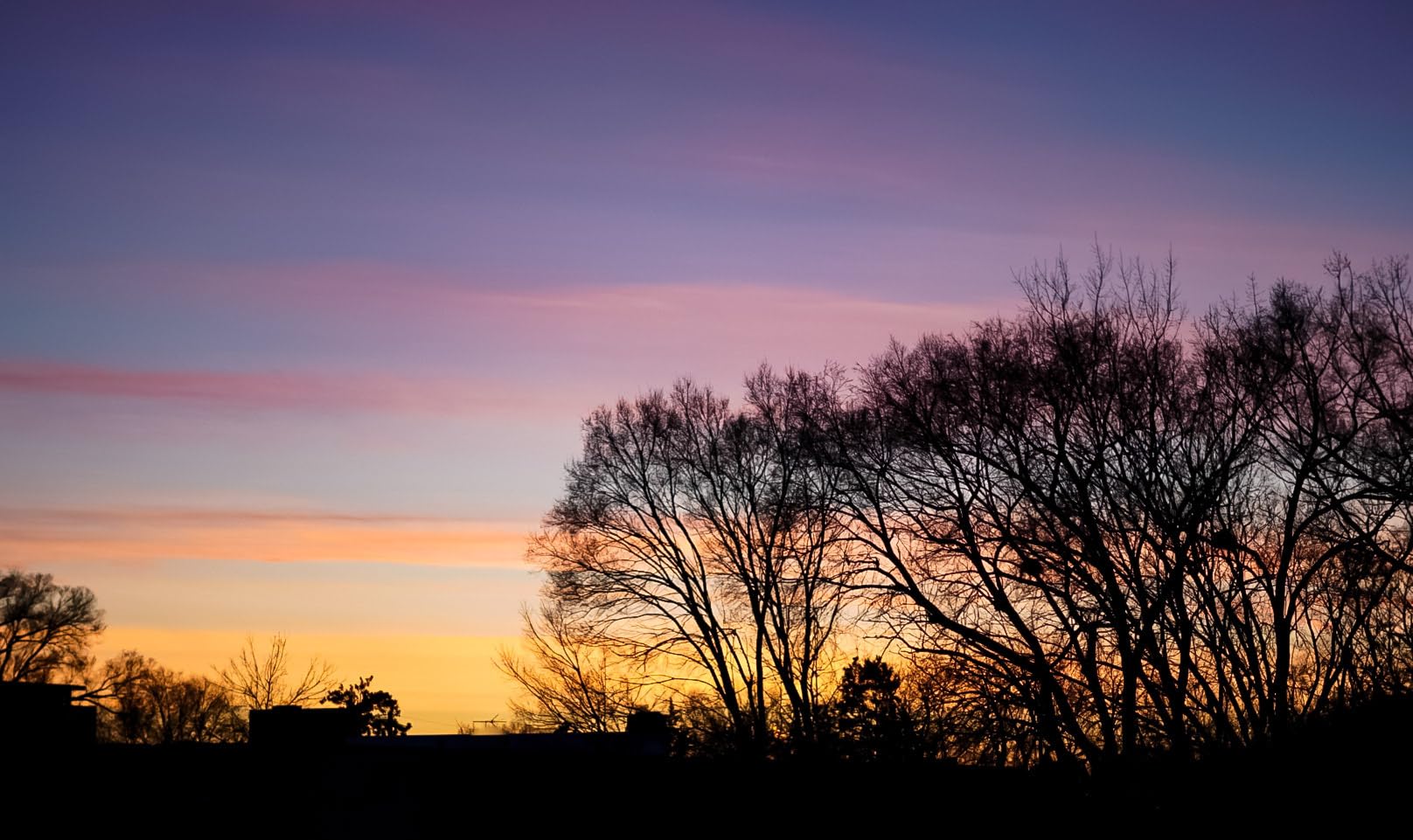 Sony FE 50mm F1.8 Standard Lens (SEL50F18F/2), Black customer photo 1