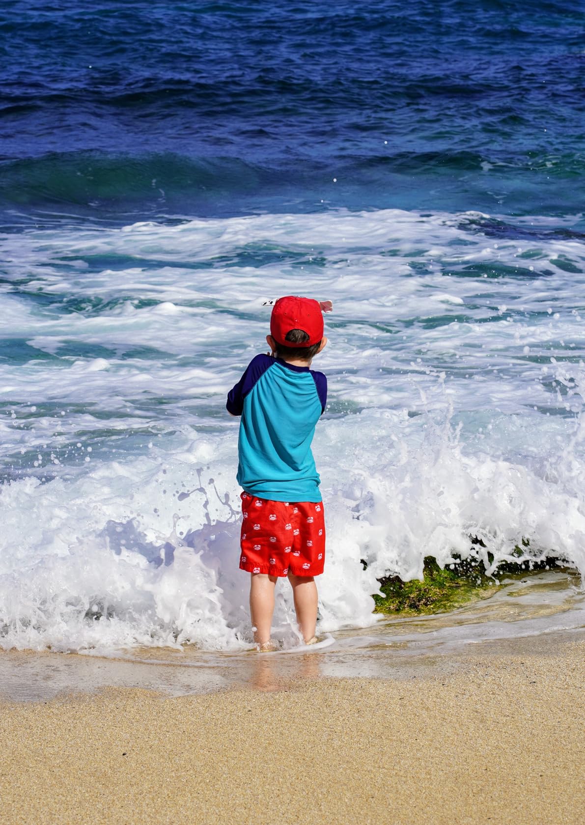 SEL85F18 85mm F/1.8-22 Medium-Telephoto Fixed Prime Camera Lens, Black customer photo 2