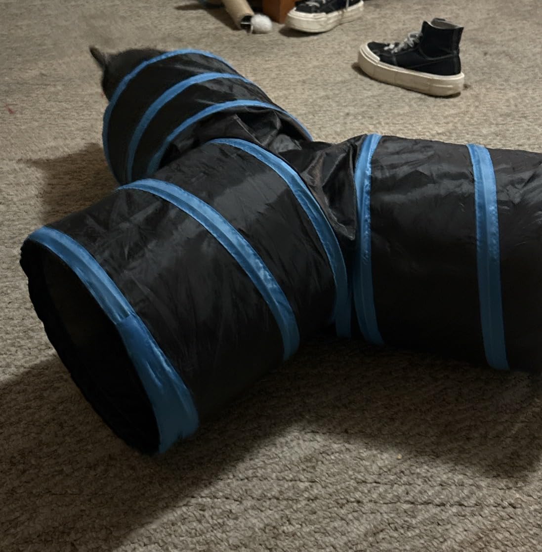 Tempcore Pet Cat Tunnel Tube Cat Toys 3 Way Collapsible, Tunnels for Indoor Cats,Kitty Bored Peek Hole Toy Ball customer photo 2