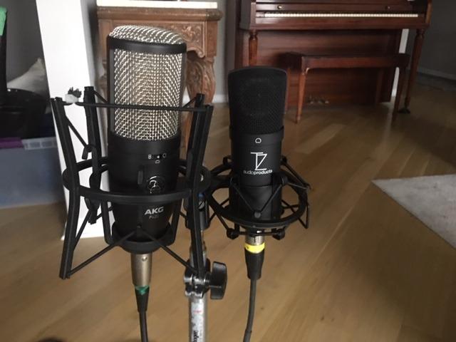 TZ Stellar X2 Large Diaphragm Cardioid Condenser XLR Microphone customer photo 1
