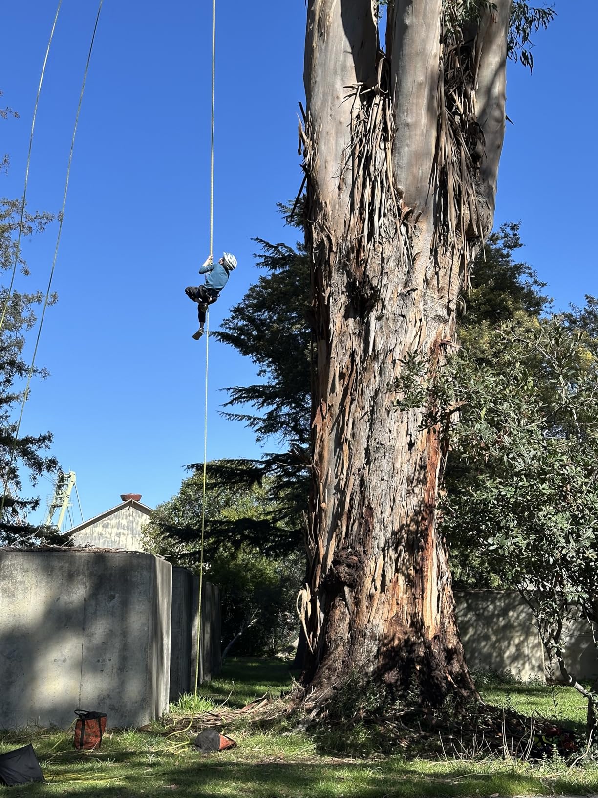 BLACK DIAMOND Kids' Momentum Rock Climbing Harness | Adjustable Waist & Leg Loops | For Indoor & Outdoor Climbing customer photo 2