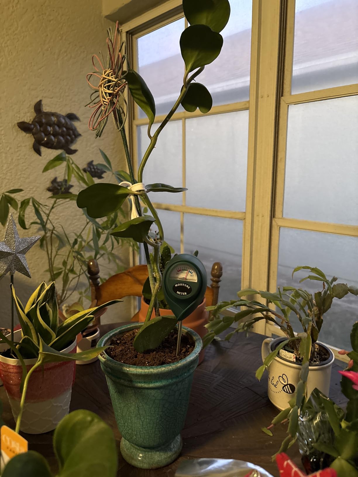 XLUX Soil Moisture Sensor Meter Water Monitor, Hygrometer for Gardening, Farming,Plants, No Batteries Required, 2 Pack customer photo 2