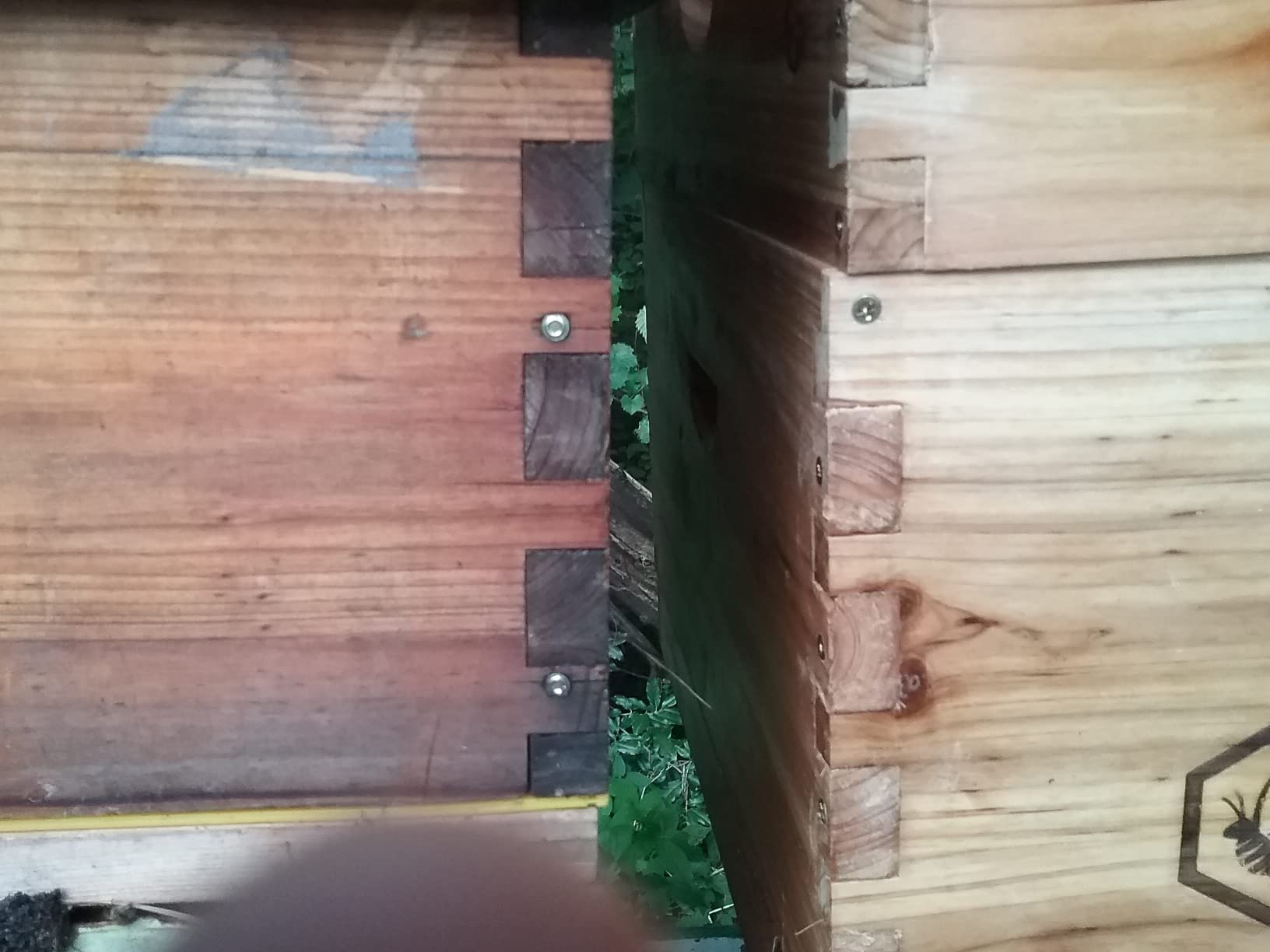 BeeCastle 10-Frames Complete Beehive Kit, 100% Beeswax Coated Bee Hive Includes Beehive Frames and Beeswax Coated Foundation Sheet (2 Layer) customer photo 2