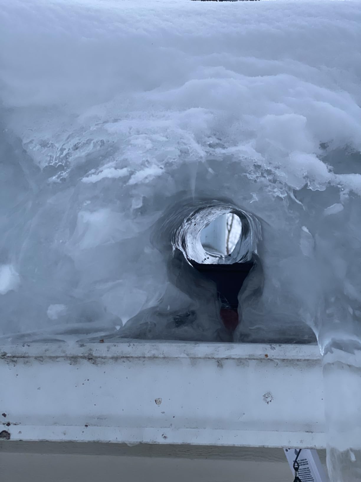 Amazon Basics Electric Kettle with Glass Carafe for Tea and Coffee, Fast Boiling, Auto Shut-Off, Boil-Dry Protection, Temperature Control, Removable Filter, 1 Liter, 1500W, BPA-Free customer photo 2