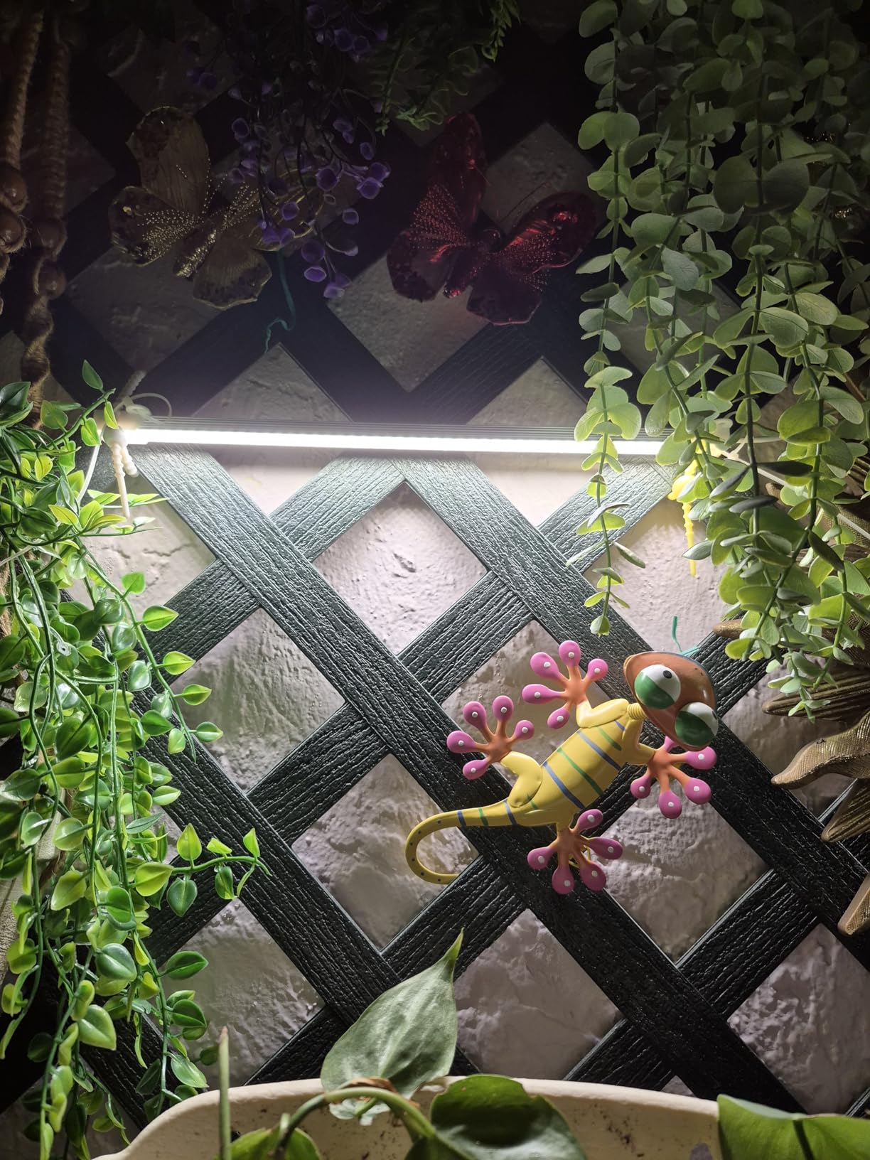 Mosthink LED Plant Grow Light Strips Full Spectrum for Indoor Plants with Auto ON/Off Timer, 48 LEDs / 4 Dimmable Levels, Sunlike Grow Lamp for Hydroponics Succulent, 2 Pack customer photo 1