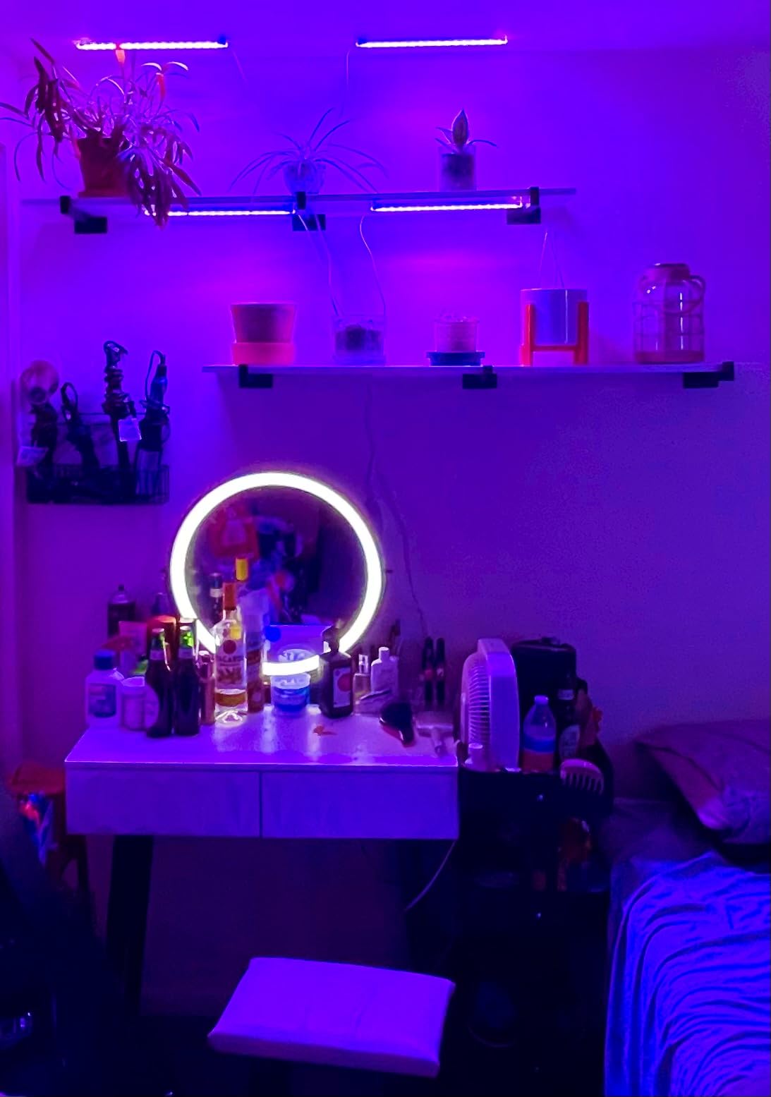 Mosthink LED Plant Grow Light Strips Full Spectrum for Indoor Plants with Auto ON/Off Timer, 48 LEDs / 4 Dimmable Levels, Sunlike Grow Lamp for Hydroponics Succulent, 2 Pack customer photo 2