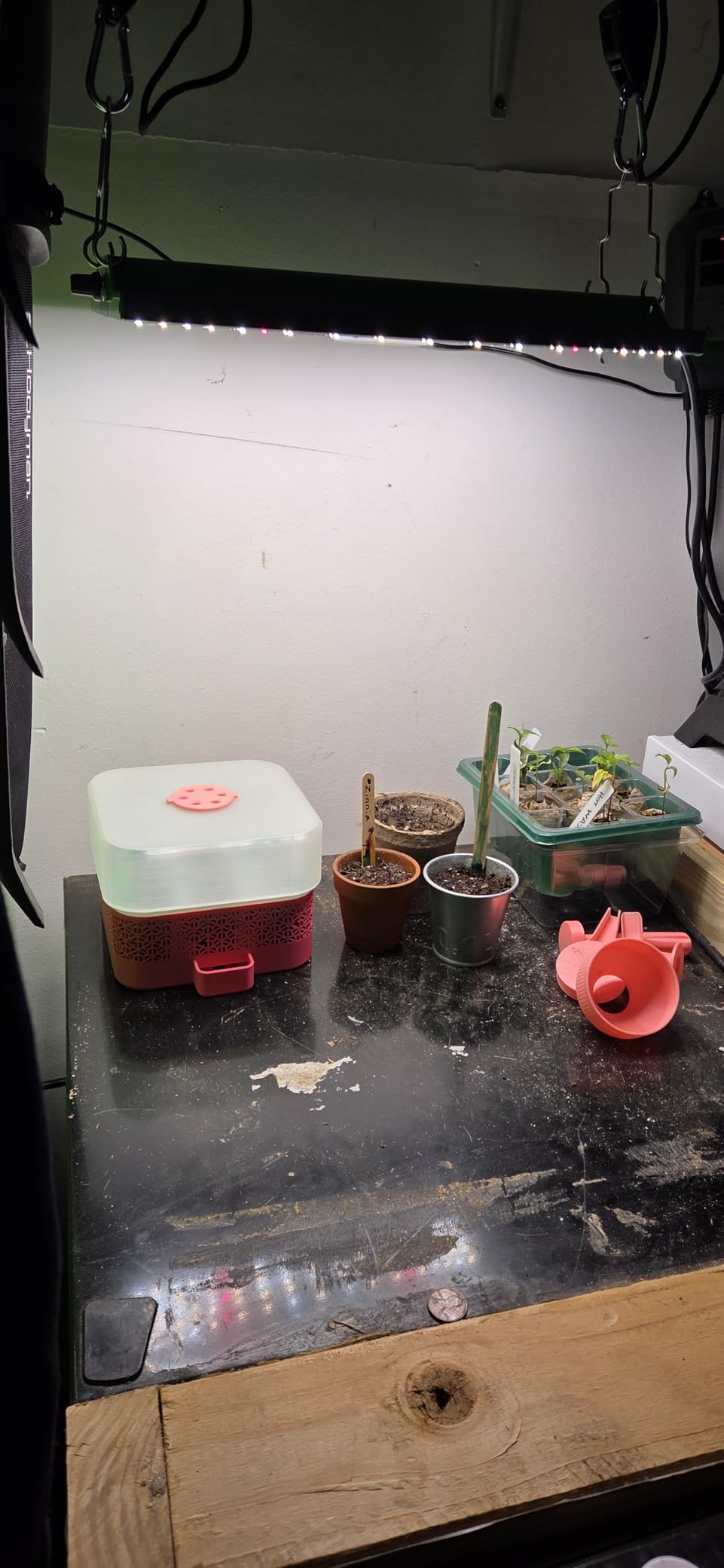 VIPARSPECTRA P1000 LED Grow Light for Seed Starting Vegetables Bloom, Dimmable Plant Lights Dimming Daisy Chain Grow Lights for Indoor Plants Full Spectrum for 3x3/2x2 Grow Tent customer photo 1