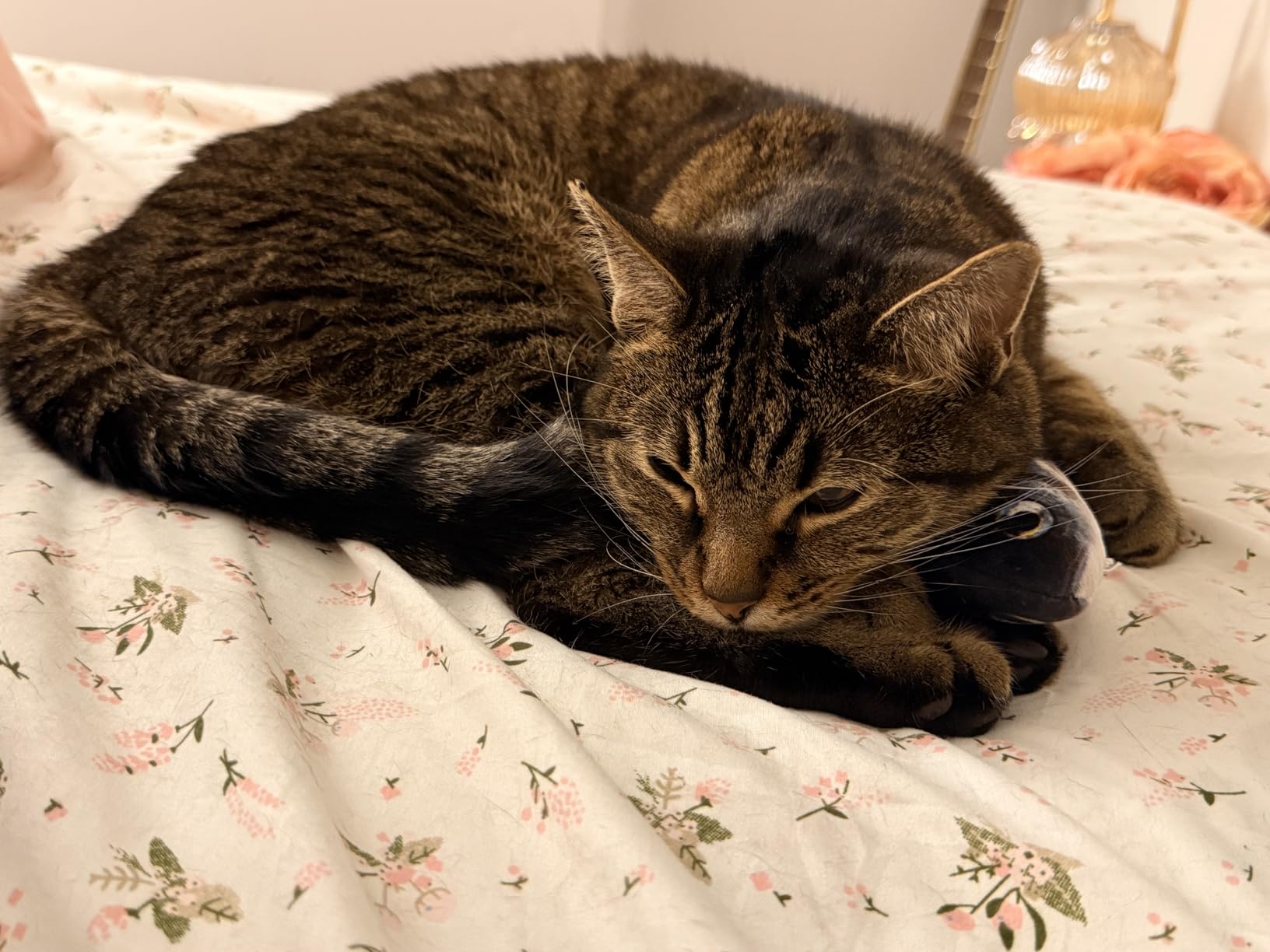 Potaroma Cat Toys Flopping Fish with Catnip, Moving Kitten Kicker, Floppy Wiggle Carp for Small Dogs, Interactive Motion Kitty Exercise customer photo 2