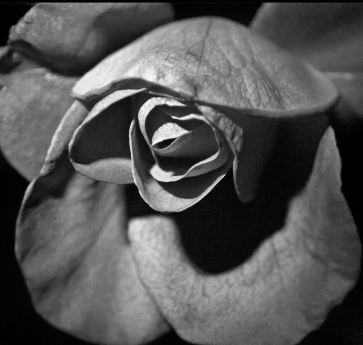 uvBeast New V3 365nm MINI - Black Light UV Flashlight - High Definition Pure Ultraviolet - Professional Grade High Power Upgraded 5 Core UV LED - USA Stock customer photo 2