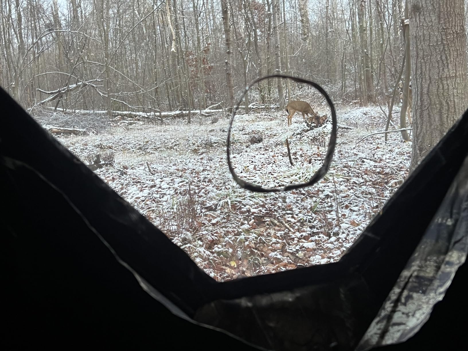 Ameristep Brickhouse Hunting Blind | 3-Person Ground Blind in Mossy Oak Break-Up Country, One Size customer photo 2