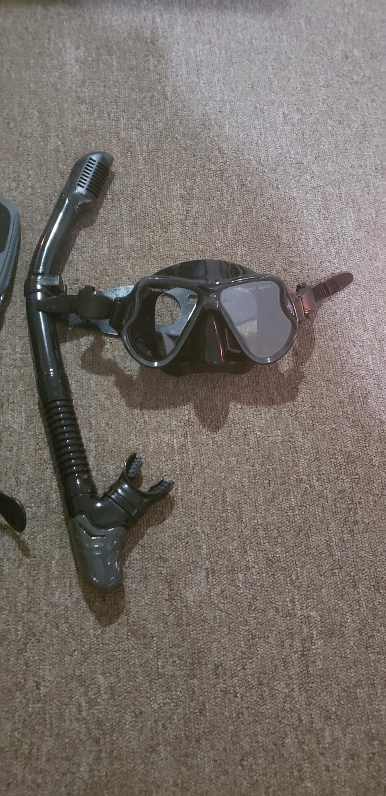 Zenoplige Mask Fins Snorkel Set, Snorkeling Gear for Adults, Panoramic View Snorkel Mask Anti-Fog, Adjustable Dive Flippers, Dry Top Snorkel and Travel Bag, Scuba Gear for Swimming Snorkeling Diving customer photo 2