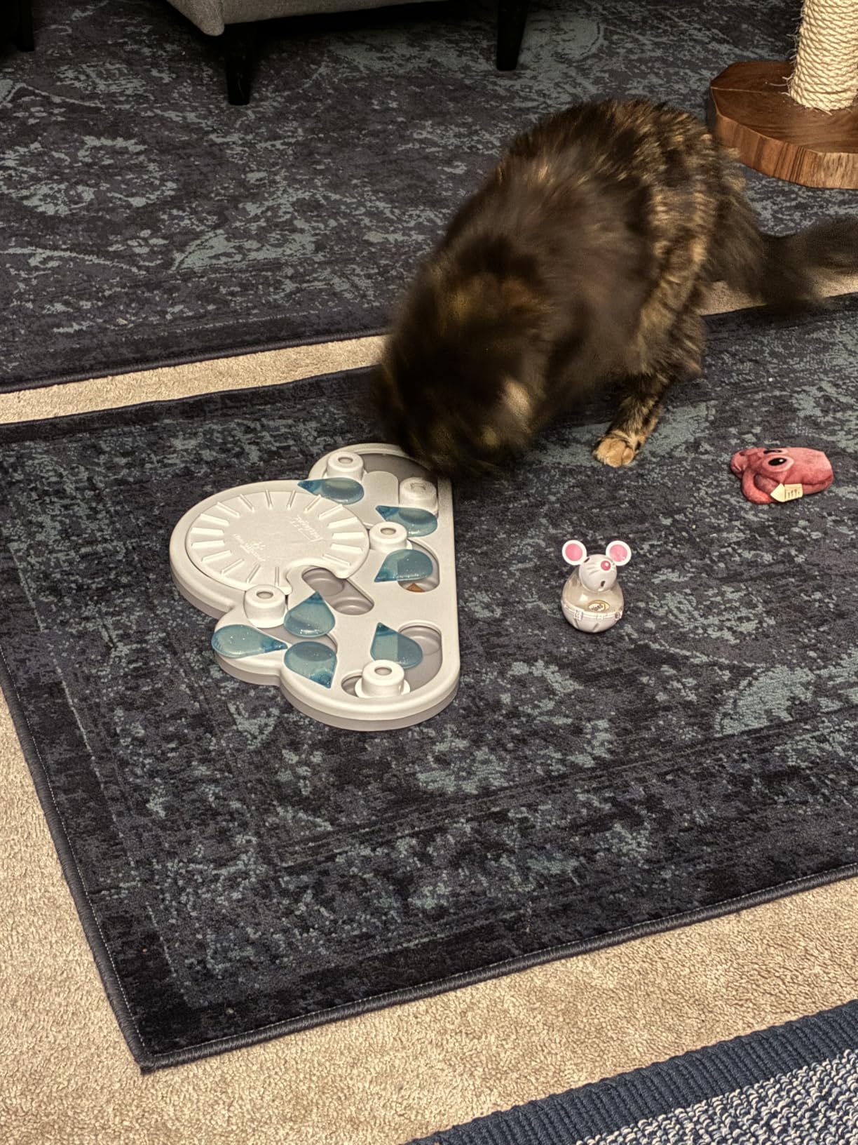 Catstages Nina Ottosson Buggin' Out Puzzle & Play - Interactive Cat Puzzle Feeder for Indoor Cats, 16 Hidden Treat Compartments, Slow Feeder, Durable & Easy-Clean, 13in x 9.5in customer photo 1