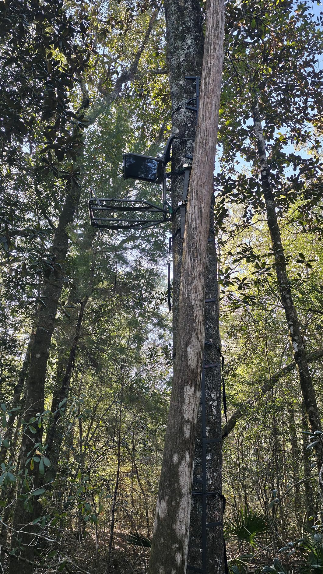 Summit Treestands Ledge XT Hang-on Tree Stand | Lightweight | Folding Comfort-Mesh Seat (SU82117),Black customer photo 1