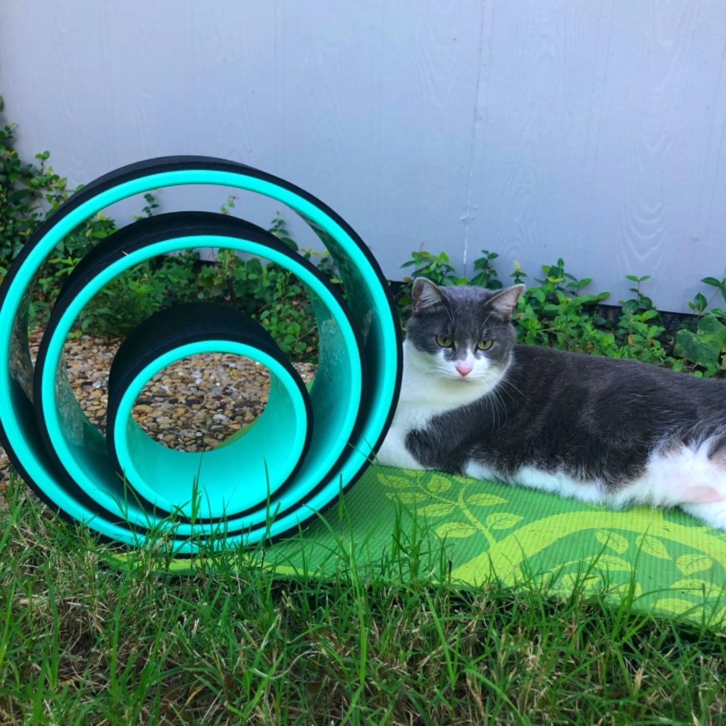 Florensi Yoga Wheel (3-Pack) - Back Stretcher and Back Roller for Back Pain, Yoga Roller for Muscle Relaxation, Pain Relief, Cracking and Popping customer photo 1