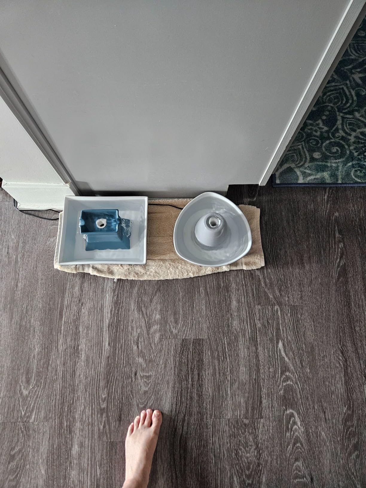 PetSafe Ceramic Pet Fountain - for Cats and Small Dogs - 60 Oz Water Capacity - Whisper-Quiet Water Flow - Great for Shy or Timid Pets - Fresh, Filtered Water customer photo 1