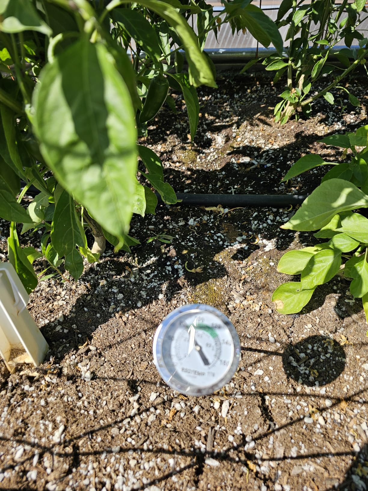 Reotemp K83B1 12 Inch Soil & Compost Thermometer with Digital Composting Guide, 32-178 Fahrenheit and Celsius customer photo 1