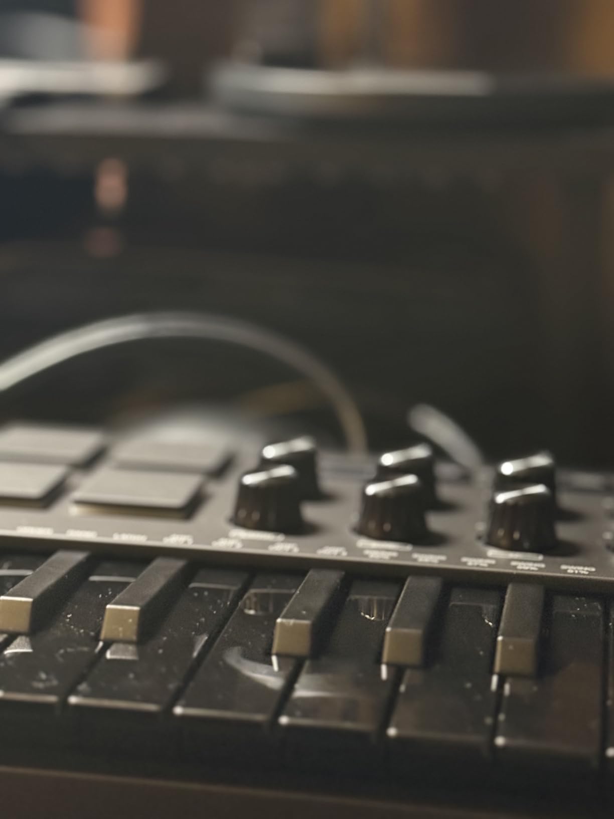 Akai Professional MPK Mini MK3 25 Key USB MIDI Keyboard Controller With 8 Backlit Drum Pads, 8 Knobs, Music Production Software and Native Instruments Sound Package (NKS Integration), Black customer photo 1