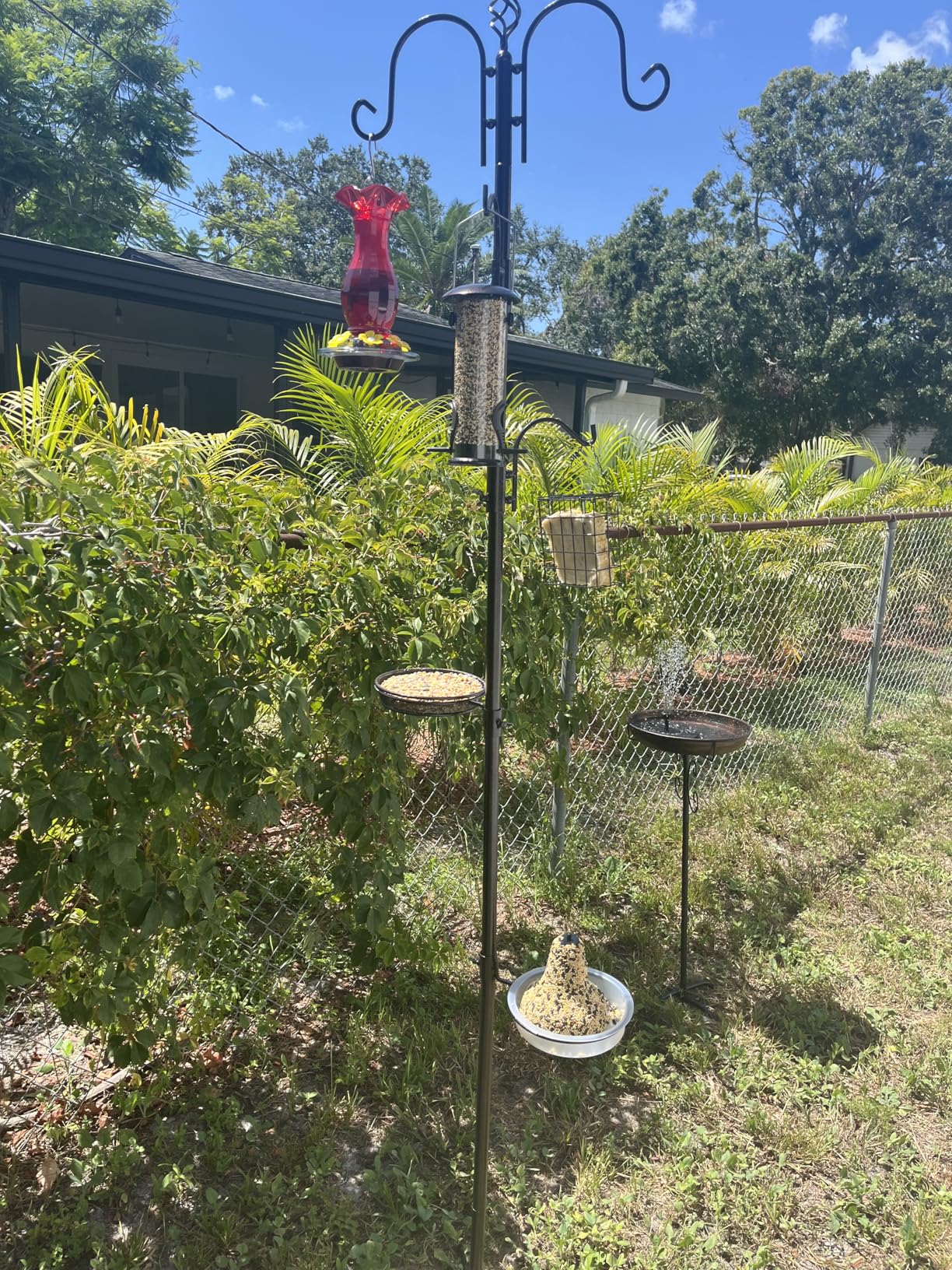 Deluxe Bird Feeding Station Kit With Multi Feeder Hanging Pole, Metal Suet Feeder, Bird Bath, Mesh Tray for Attracting Wild Birds and Planter Hanger (1 Pack) customer photo 1