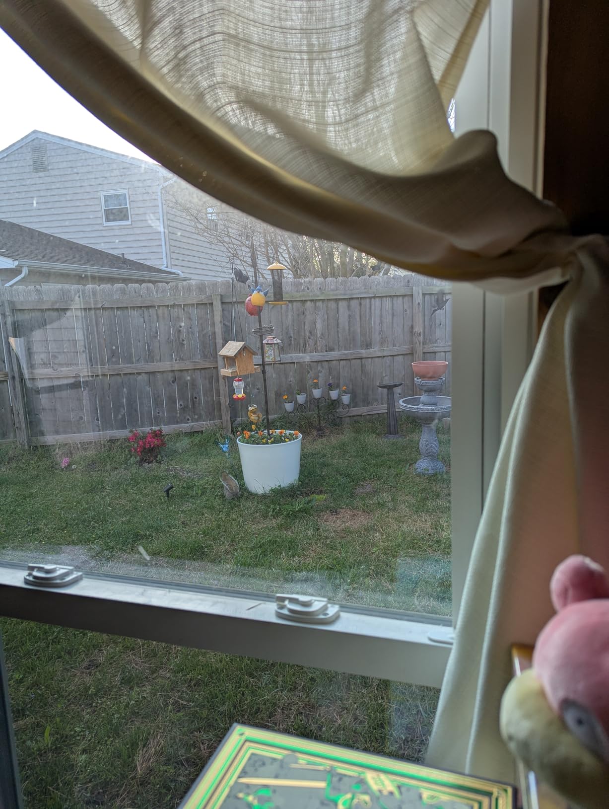 Bird Feeder Station with Suet Cage & Water Bowl Fruit Hook- Adjustable Pole, 6 Hanging Hooks for Wild Birds, Outdoor Garden Bird Feeding Kit customer photo 2