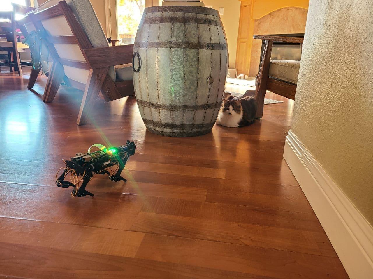 FREENOVE Robot Dog Kit for Raspberry Pi 5 4 B 3 B+ Zero 2 W, Walking, Self Balancing, Face Recognition, Ball Tracing, Ultrasonic Ranging, App Control, Camera, Servo customer photo 2