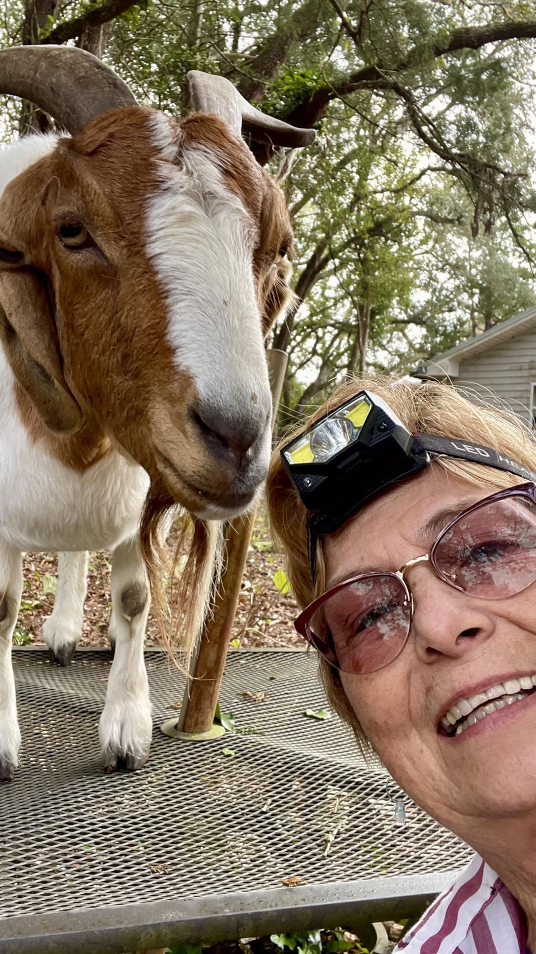 LHKNL Headlamp Flashlight, Lumen Ultra-Light Bright LED Rechargeable Headlight with White Red Light, 2-Pack Waterproof Motion Sensor Head Lamp,8 Modes for Outdoor Camping Running Hiking Fishing customer photo 2