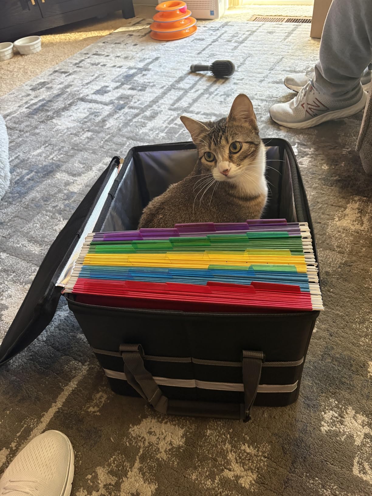 ENGPOW File Box with Lock,Fireproof Document Box with Zipper&Pockets,Collapsible File Organizer Filing Storage Cabinet with Handle,Portable Home Office Safe for Hanging Letter/Legal Folder,Black customer photo 1