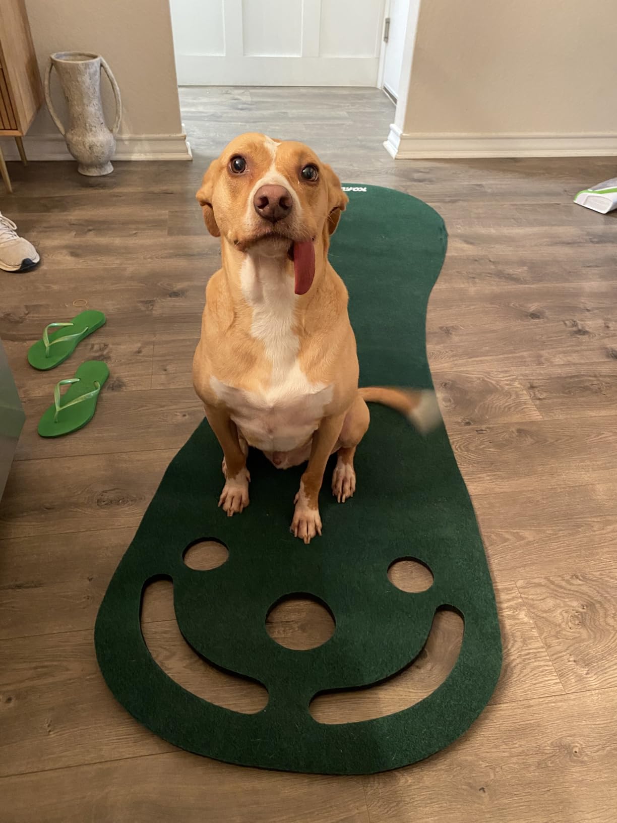 KOFULL Putting Green Mats Set - Indoor/Outdoor Golf Putting Practice or Golf Game with 78