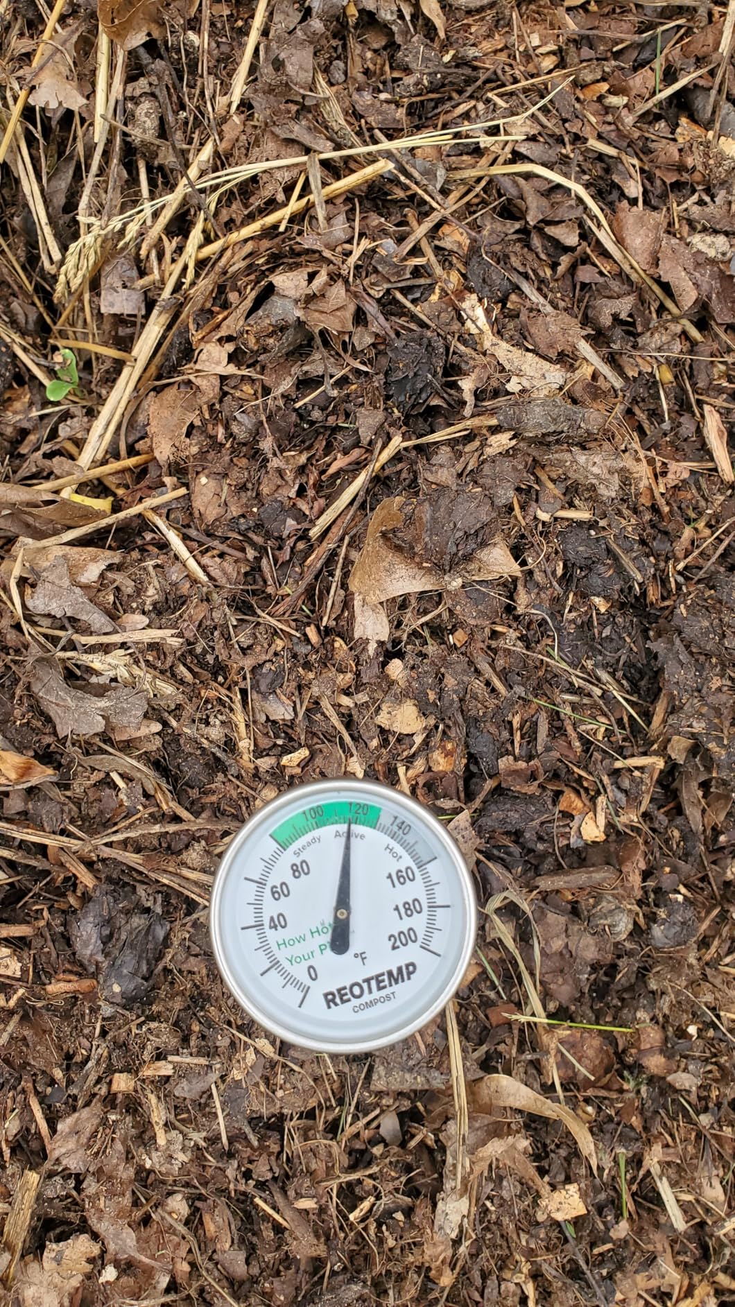 Reotemp 16 Inch Fahrenheit Backyard Compost Thermometer with Digital Composting Guide customer photo 1