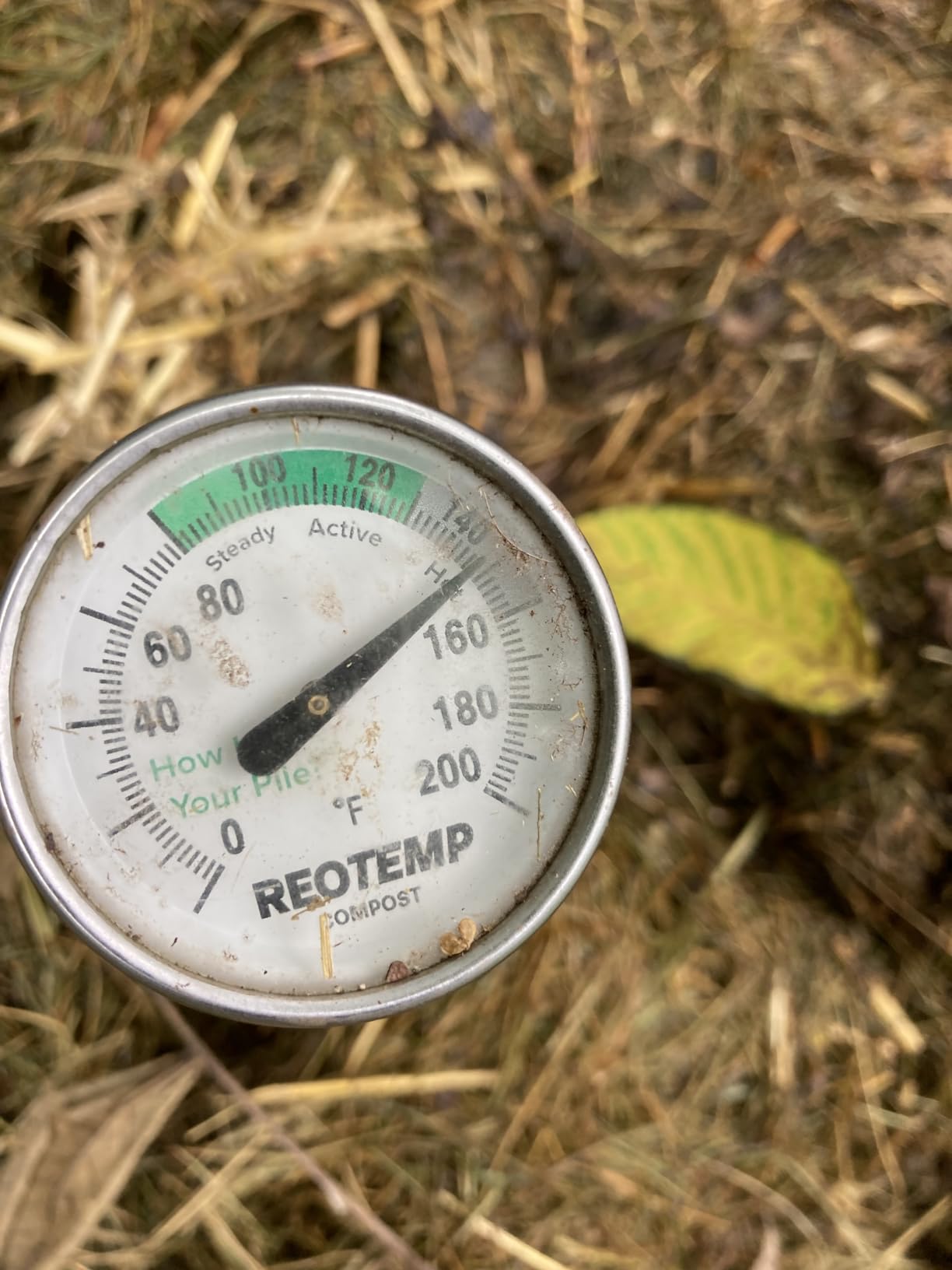 Reotemp 16 Inch Fahrenheit Backyard Compost Thermometer with Digital Composting Guide customer photo 2