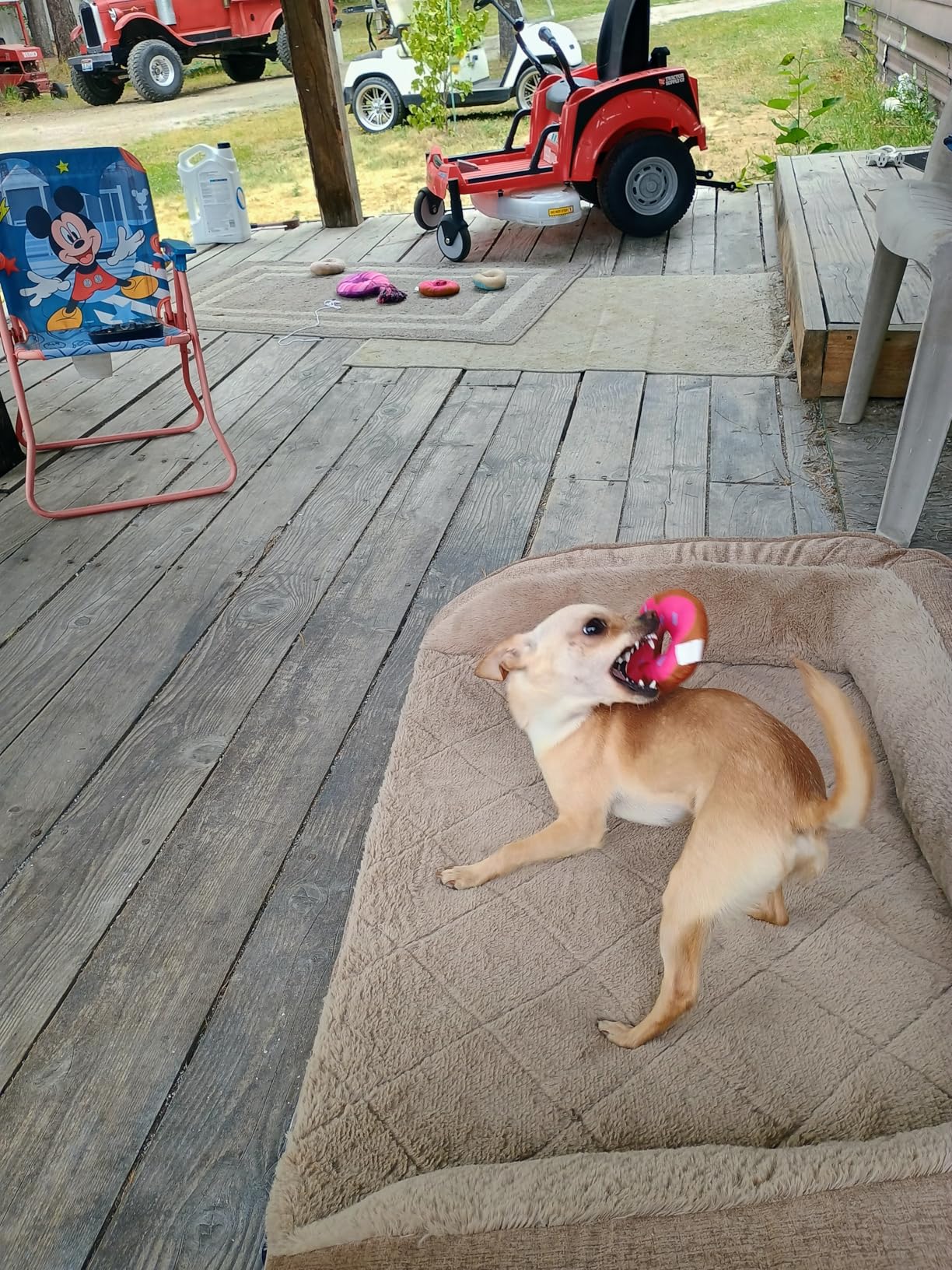 OYEFLY Dog Training Clicker with Wrist Strap Durable Lightweight Easy to Use, Pet Training Clicker for Cats Puppy Birds Horses. Perfect for Behavioral Training 2-Pack (Black and Water Lake Blue) customer photo 1