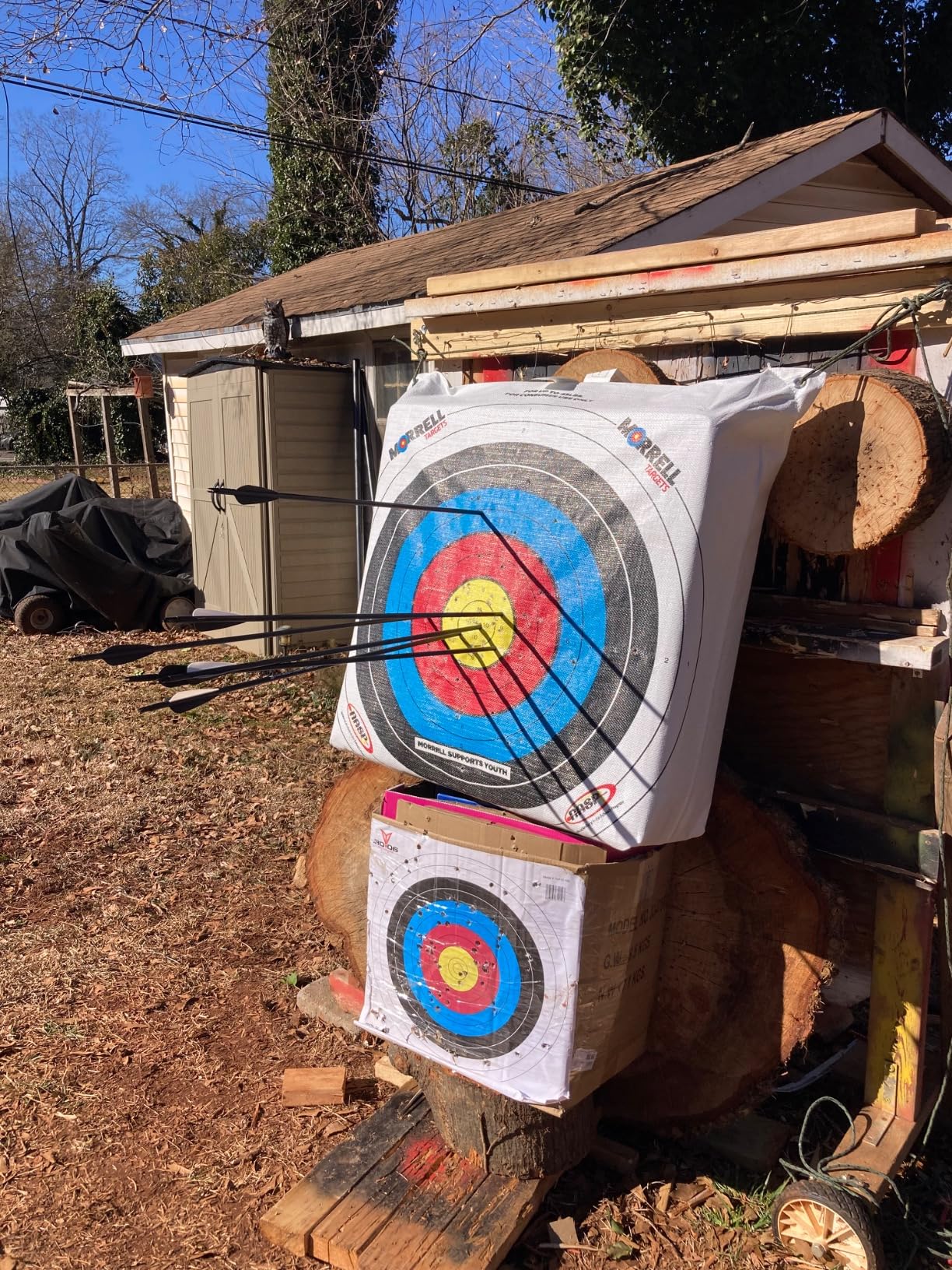 TOPARCHERY Archery 60