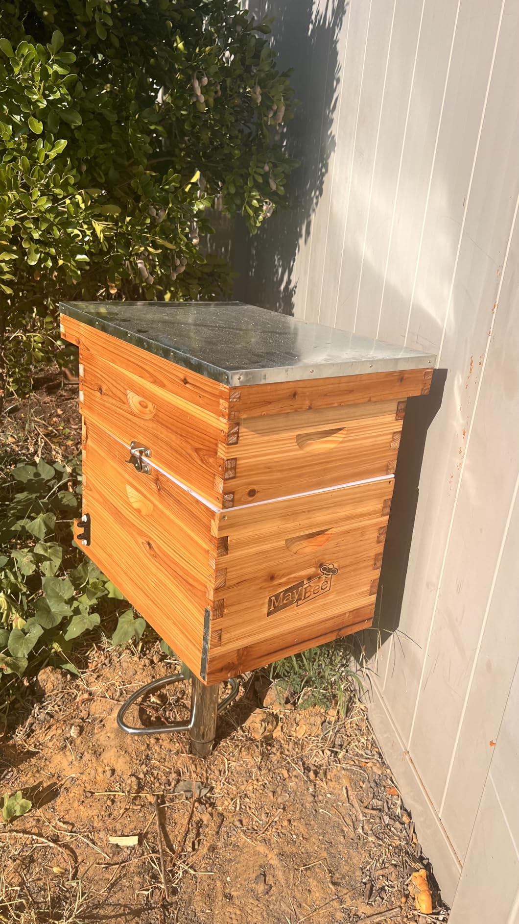 Beehive 8 Frame Bee Hives and Supplies Starter Kit, Bee Hive for Beginner, Honey Bee Hives Includes 1 Deep Bee Boxes, 1 Bee Hive Super with Beehive Frames and Foundation customer photo 2