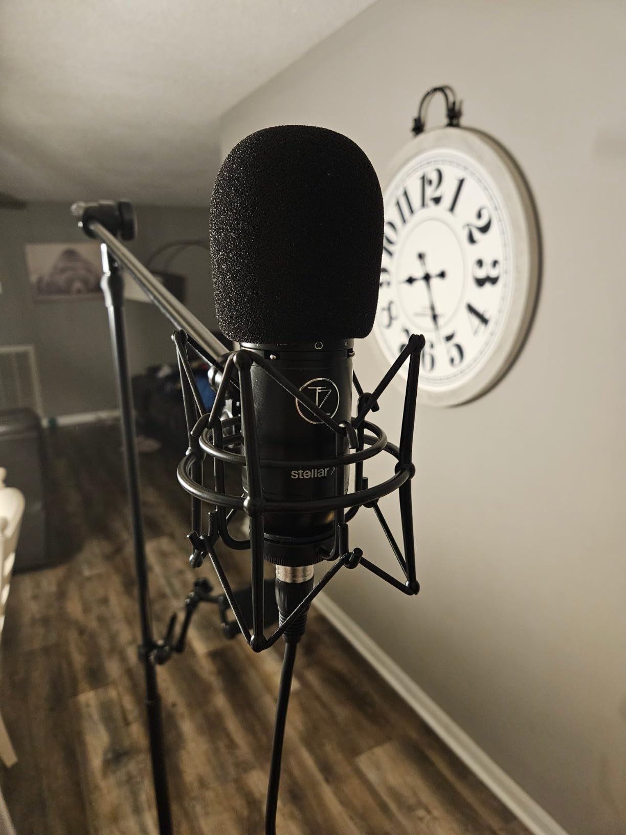 TZ Stellar X3 Large Diaphragm Condenser Microphone customer photo 1