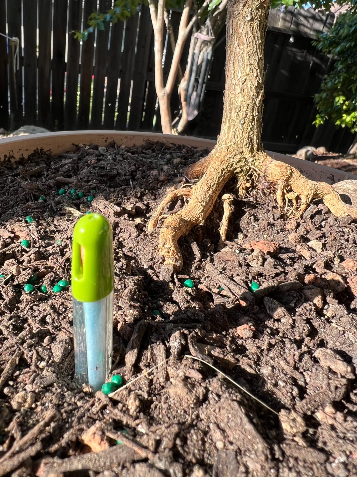 Sustee Aquameter, Set of 5, Plant Soil Moisture Sensor (Green, Small) customer photo 1