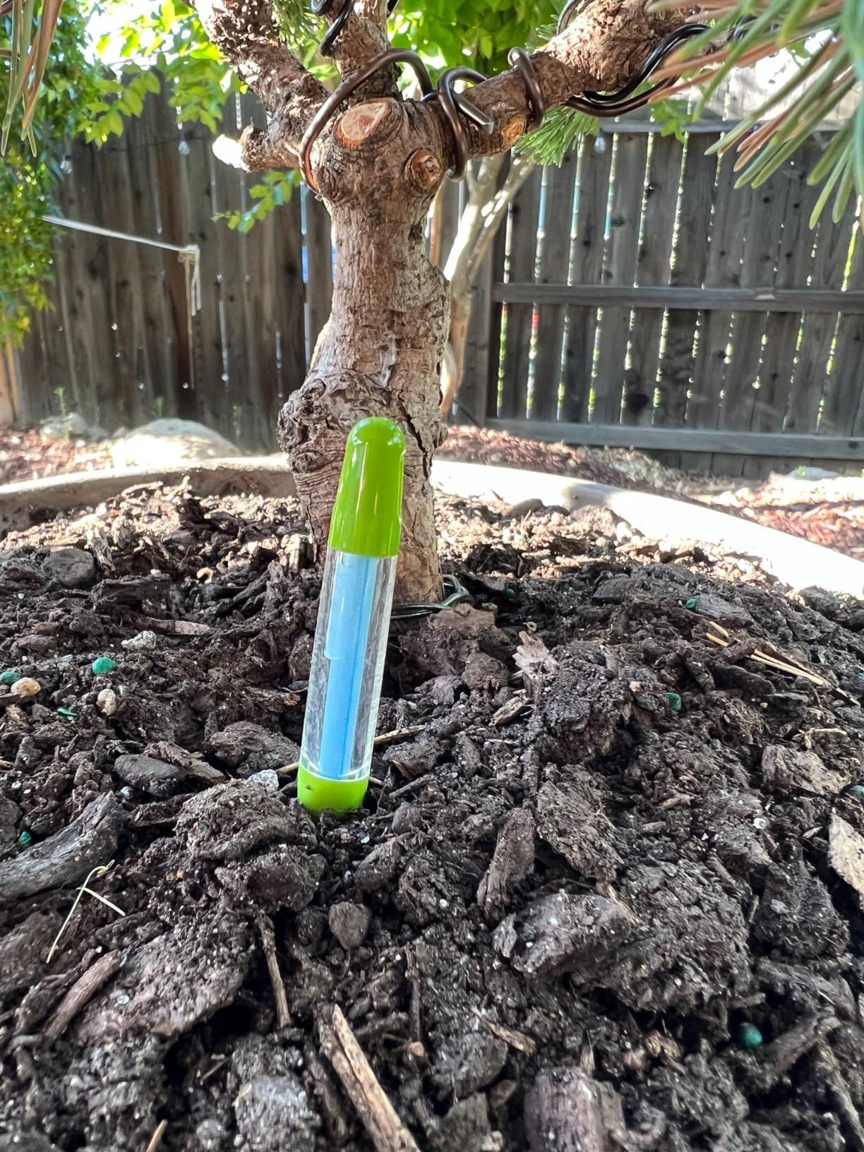 Sustee Aquameter, Set of 5, Plant Soil Moisture Sensor (Green, Small) customer photo 2