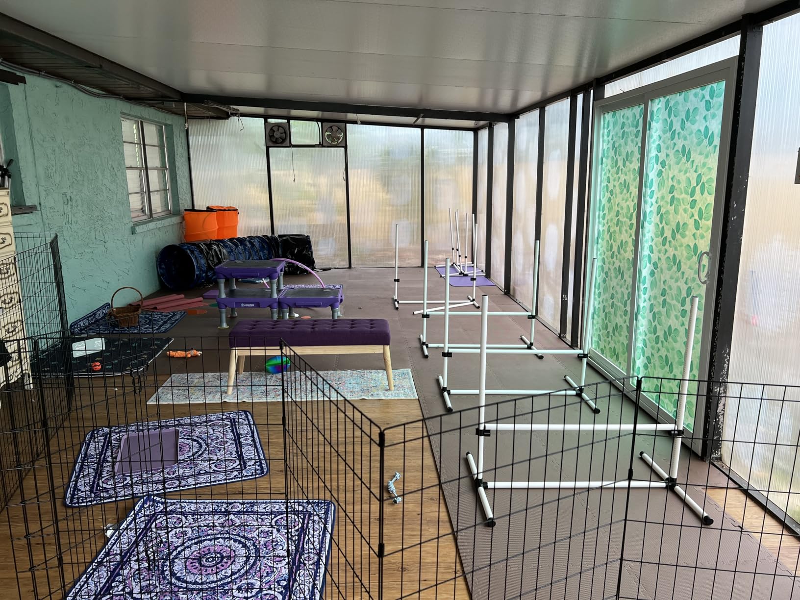 PawHut 4 Piece Dog Agility Training Equipment for Dog Agility Course with Adjustable Height Jump Bars, Included Carry Bag, & Displacing Top Bar, Blue customer photo 2