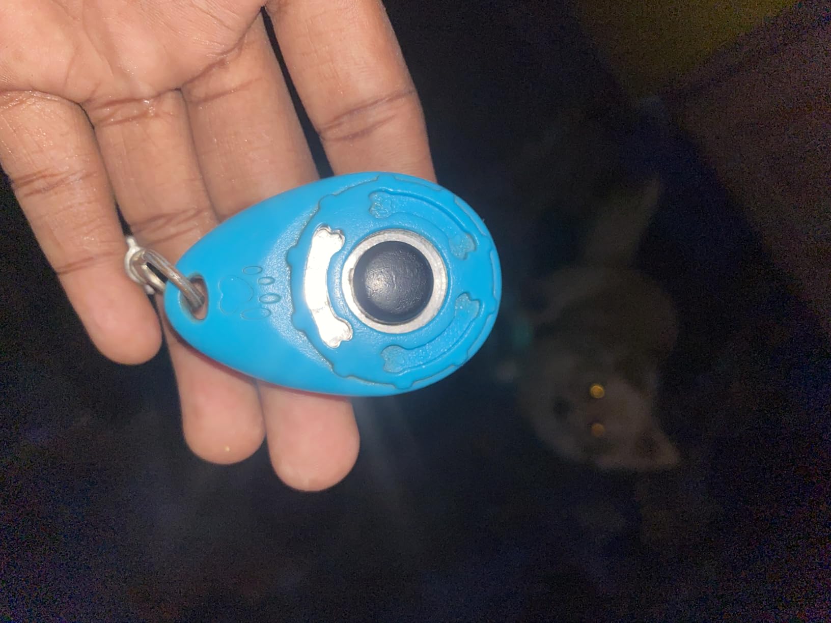 Chadou Training Clicker for Pet Like Dog Cat Horse Bird Dolphin Puppy with Wrist Strap, 2 Pack customer photo 1