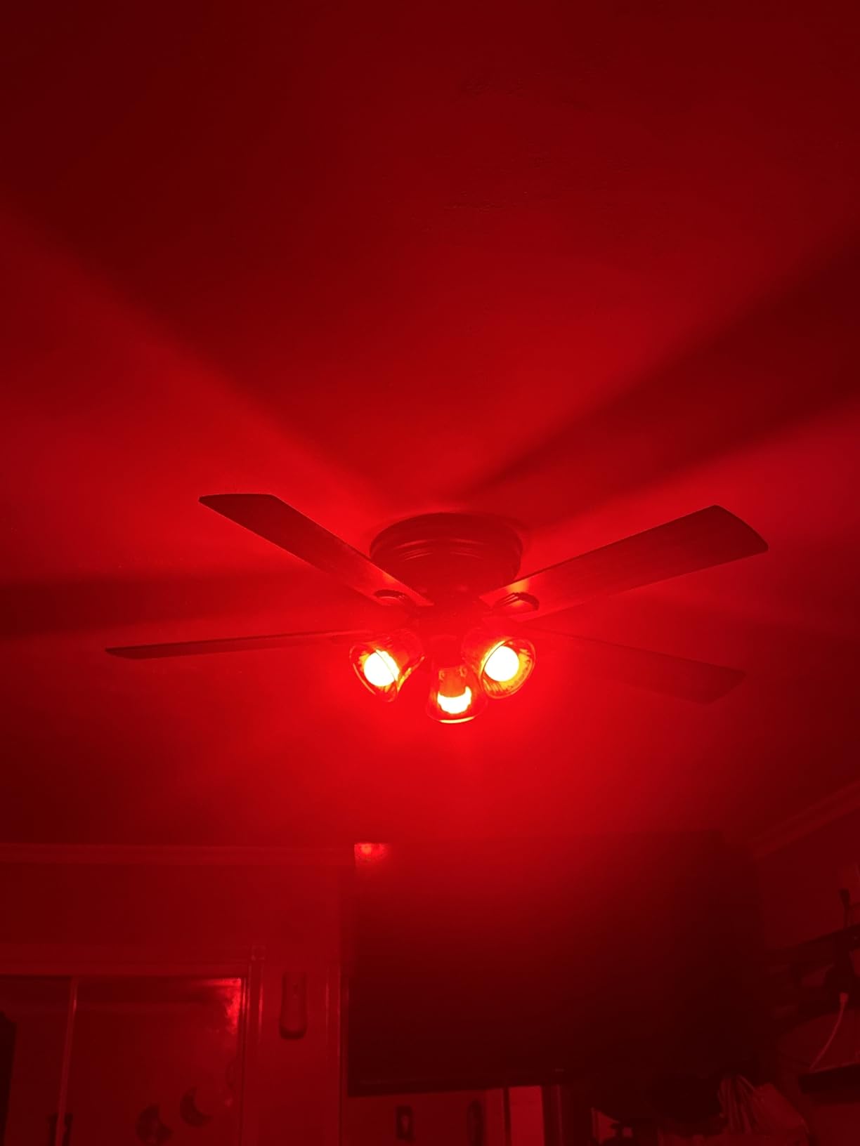 Kasa Smart Light Bulbs, Full Color Changing Dimmable Smart WiFi Bulbs Compatible with Alexa and Google Home, A19, 9W 800 Lumens,2.4Ghz only, No Hub Required, 4 Count (Pack of 1), Multicolor (KL125P4) customer photo 1