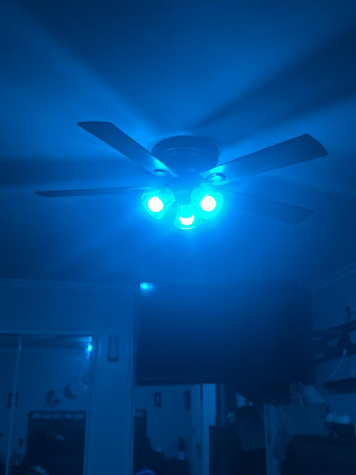 Kasa Smart Light Bulbs, Full Color Changing Dimmable Smart WiFi Bulbs Compatible with Alexa and Google Home, A19, 9W 800 Lumens,2.4Ghz only, No Hub Required, 4 Count (Pack of 1), Multicolor (KL125P4) customer photo 2