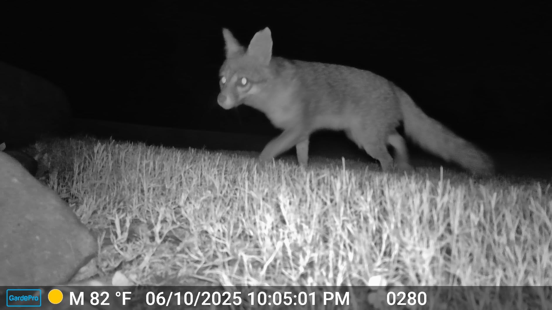 GardePro E6 WiFi Trail Camera (Non-Cellular), 48MP Photos, 1296P HD Video, App Control with Live View, 110° Wide-Angle, No-Glow Night Vision, Motion Activated customer photo 2