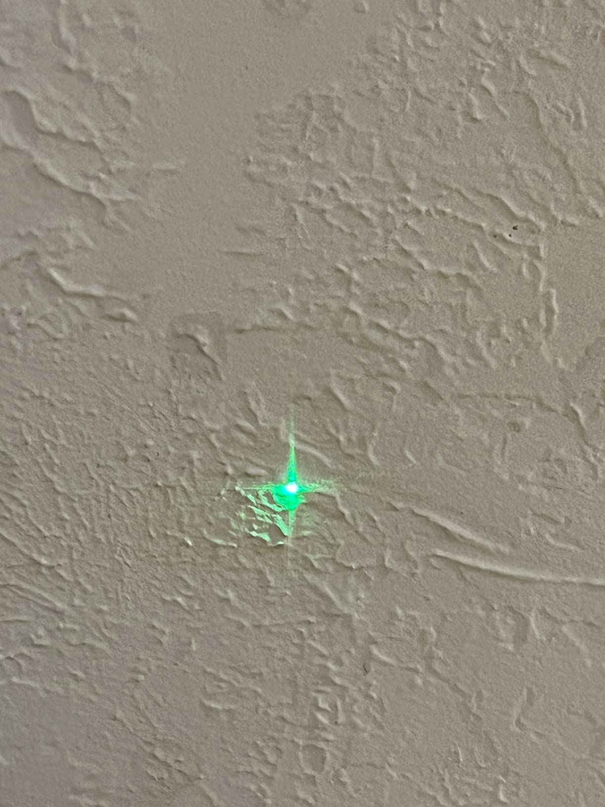 BOSCH GPL100-30G Green-Beam Self-Leveling Alignment Laser, Includes 2 AA Batteries, Built-In Multipurpose Mount, & Hard Carrying Case customer photo 2