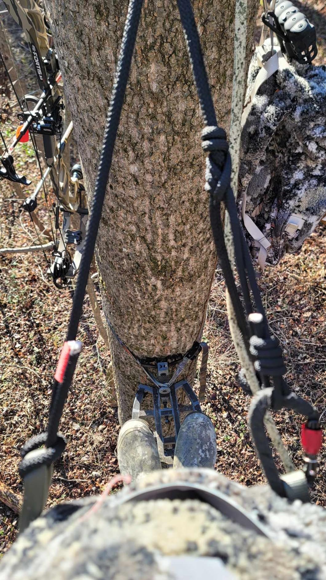 Hawk Full Platform Stand w/ Silent Strap Attachment for Deer Hunting, Helium Hammock Apex, Black - Adjustable Climbing Tree Stand Accessory and Equipment for Shooting customer photo 2