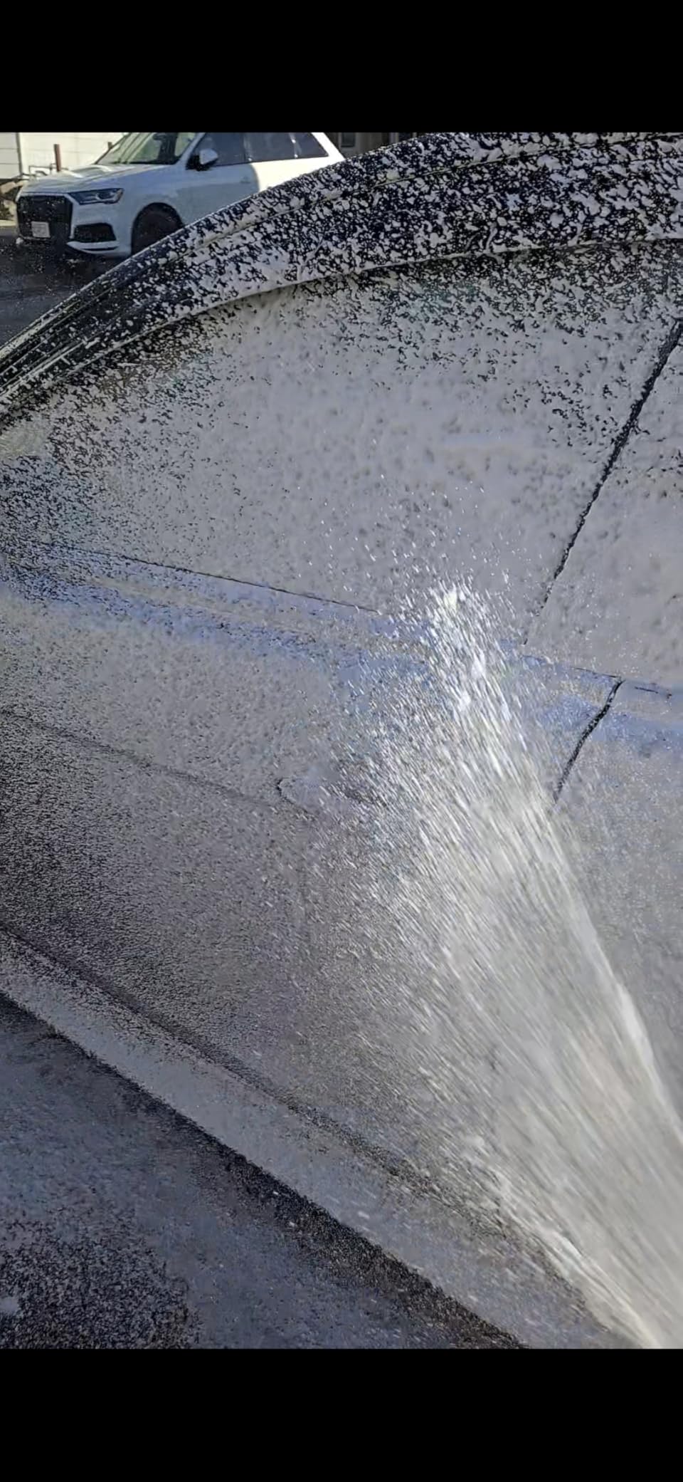 Tool Daily Short Pressure Washer Gun with Foam Cannon, 1/4 Inch Quick Connector, with 5 Pressure Washer Nozzle Tips, 1 Liter customer photo 1