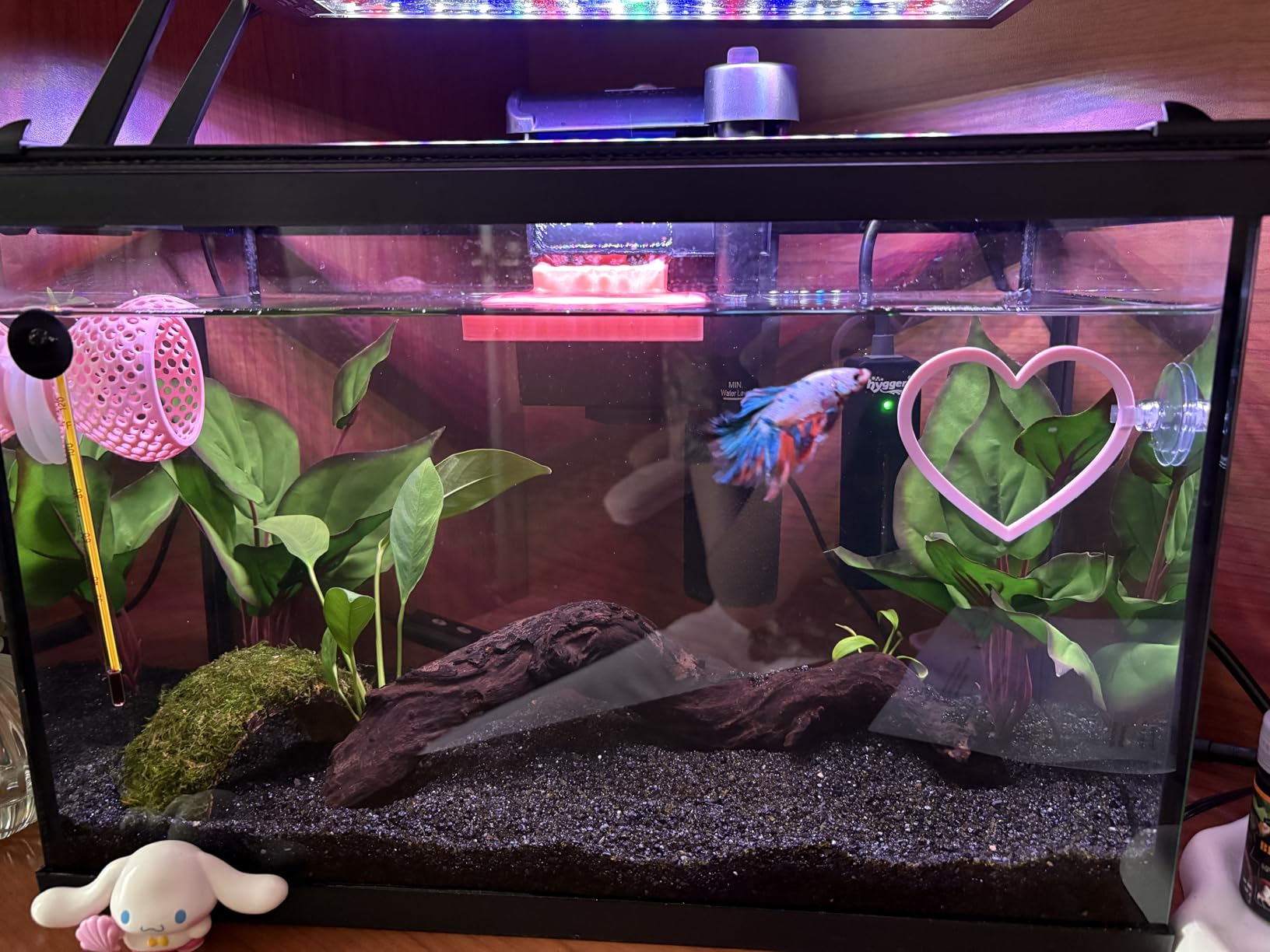 hygger Clip On 24/7 Lighting Aquarium LED Light, Sunrise-Daylight-Moonlight and DIY Mode, Adjustable Timer/Brightness Fish Tank Light with 7 Colors for Planted Tank (14W for 12~20in Tank) customer photo 1